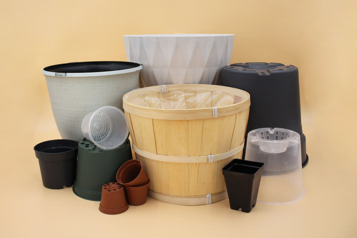 Planter Pots