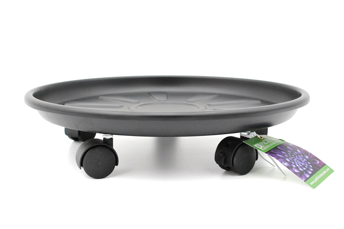 Pacific Rim Plant Caddy with Saucer
