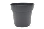 Elegance Pot
