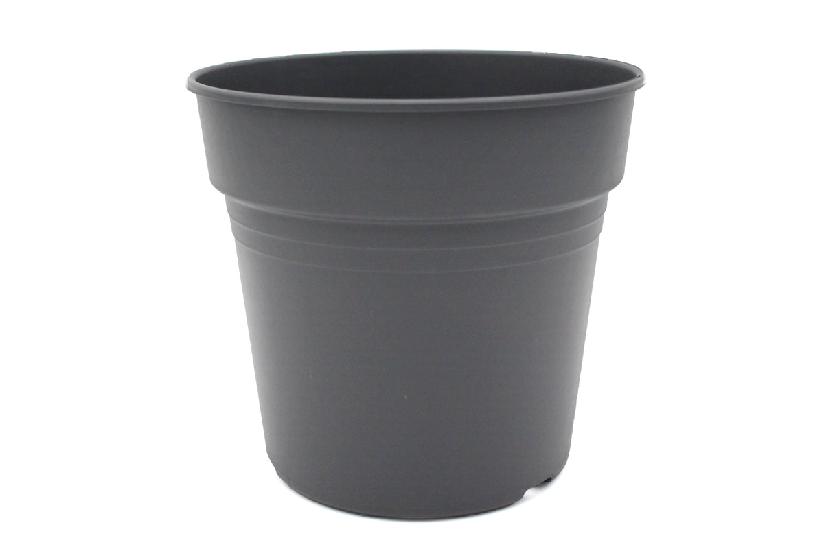 Elegance Pot