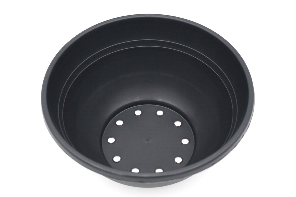 Miranda Bowl