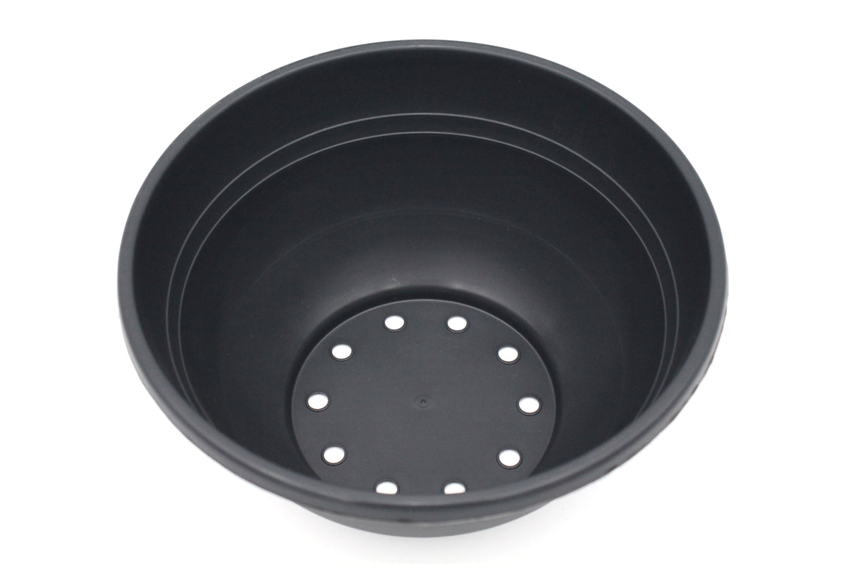Miranda Bowl