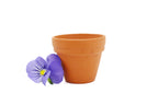 Terracotta Pot