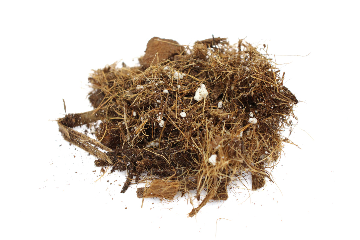 Orchid General Mix