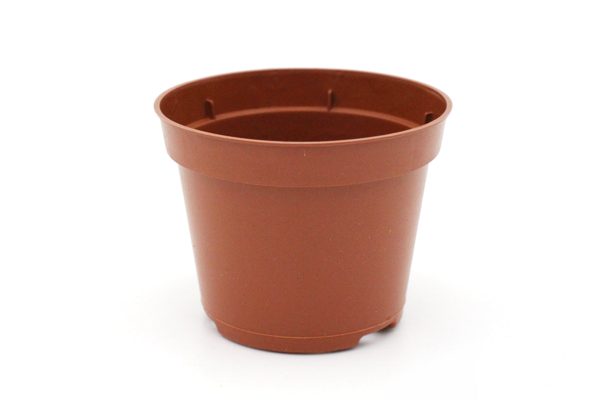 Growers Pot - 5cm