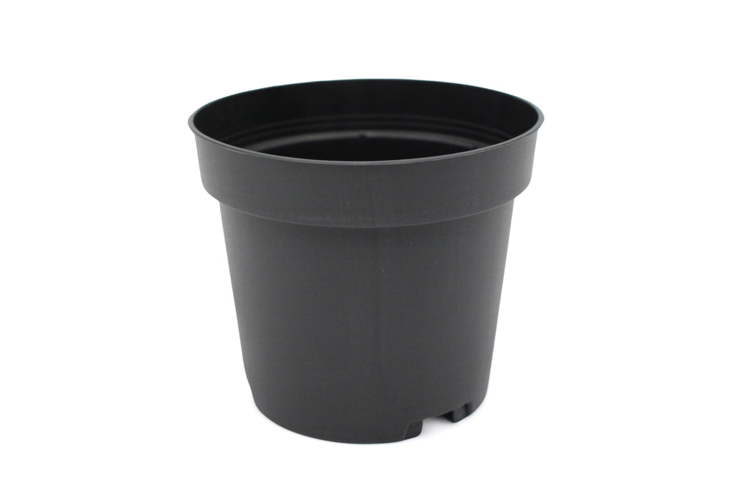 Growers Pot - 10cm