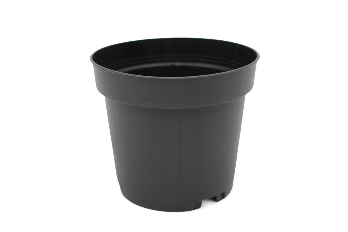 Growers Pot - 10cm