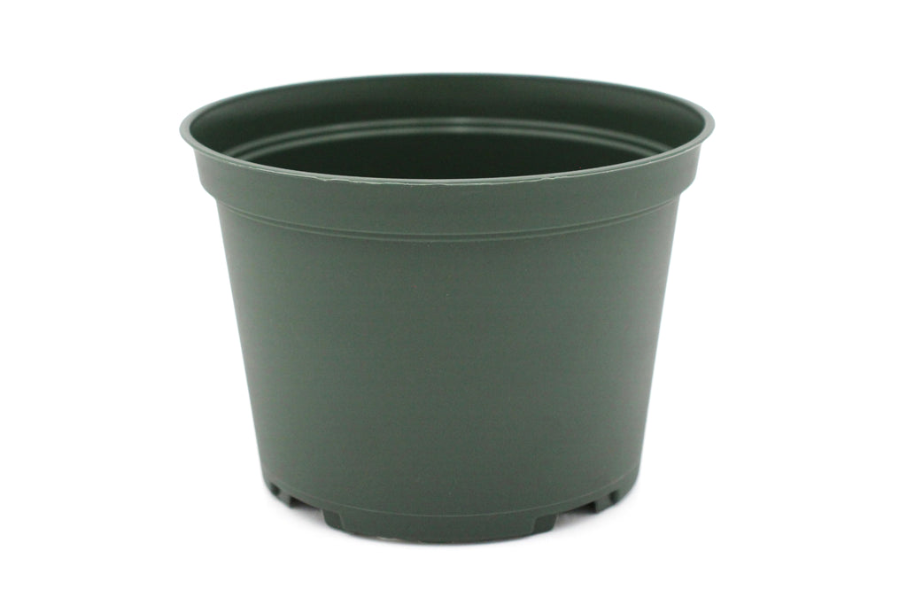 Growers Pot - 15cm
