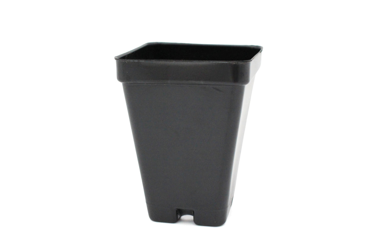 Growers Pot - 6cm