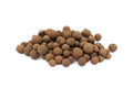Hydro Granules - Large