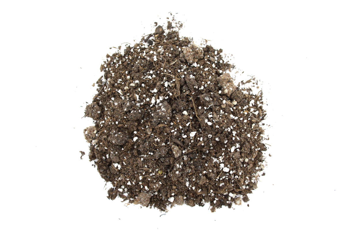 Professional Seeding & Rooting Mix