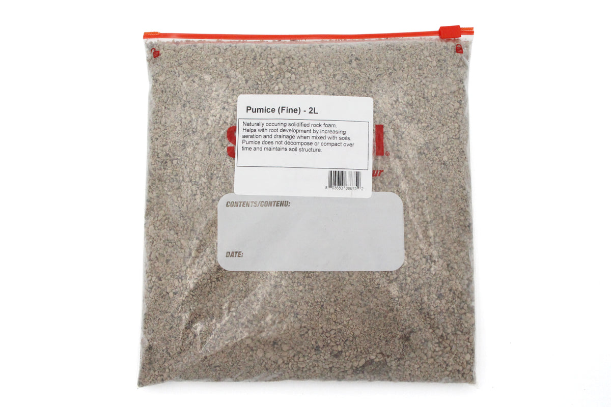 Pumice - Fine