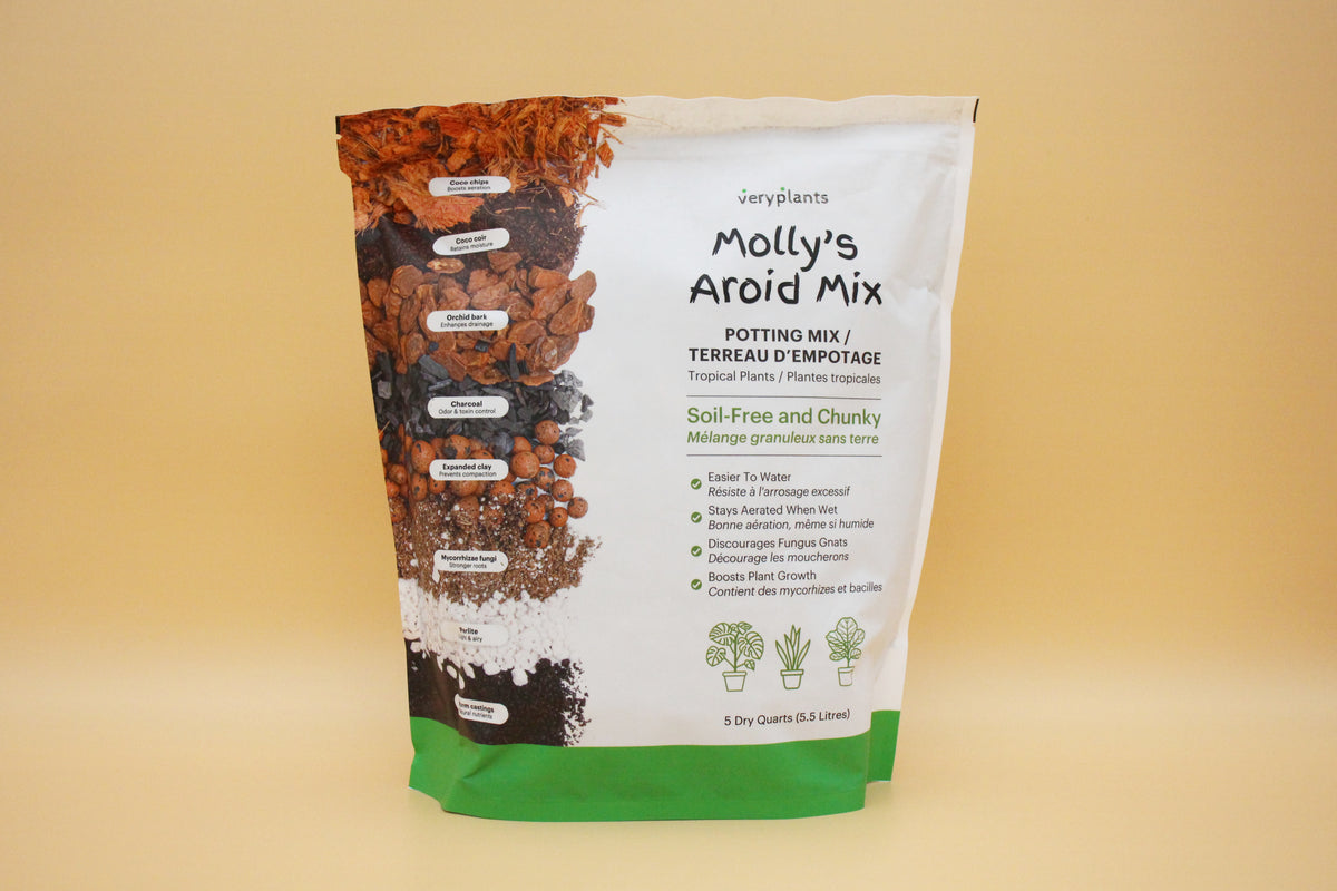 veryplants Molly's Aroid Mix